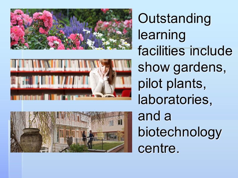 Outstanding learning facilities include show gardens, pilot plants, laboratories, and a biotechnology centre.